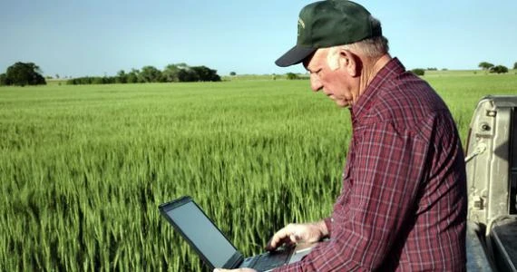 Як аграріям коригувати ПДВ за перехідними операціями: роз’яснила ДПС Як аграріям коригувати ПДВ за перехідними операціями: роз’яснила ДПС