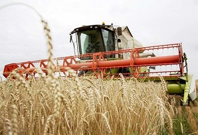 Коли можливе повторне включення юрособи-сільгоспника до 4-ї групи