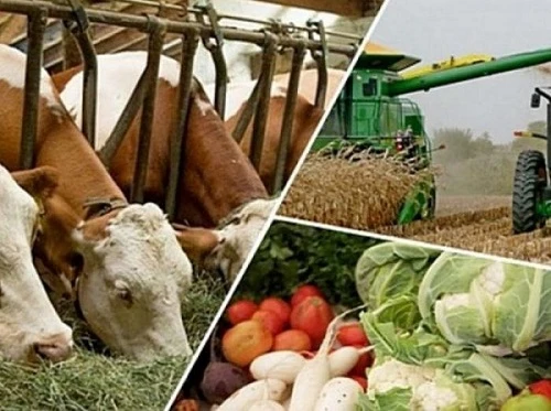 Фермерські господарства можуть ліквідувати