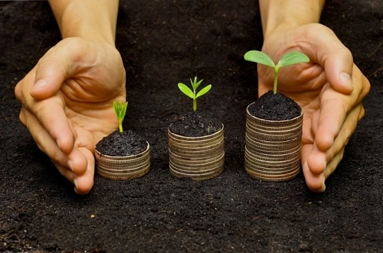 Підприємство-єдинник тимчасово припиняє господарську діяльність: чи сплачувати земподаток